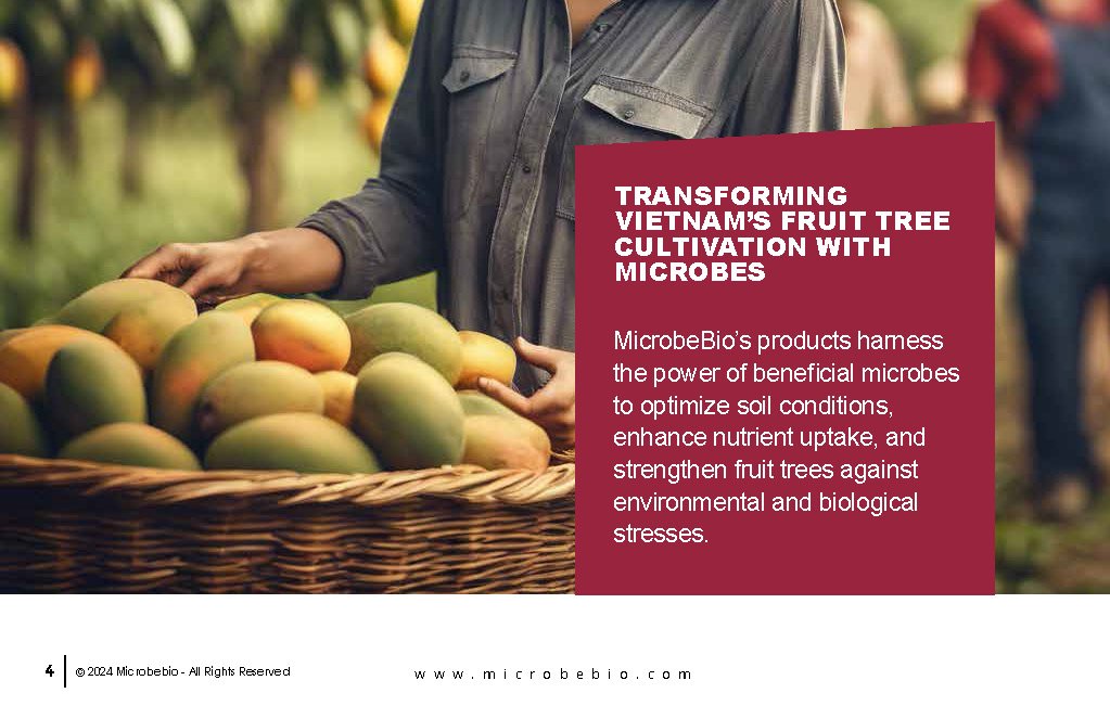 Enhancing Vietnam Fruit Tree Cultivation with Microbial Solutions_Page_04