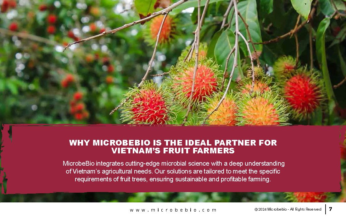 Enhancing Vietnam Fruit Tree Cultivation with Microbial Solutions_Page_07