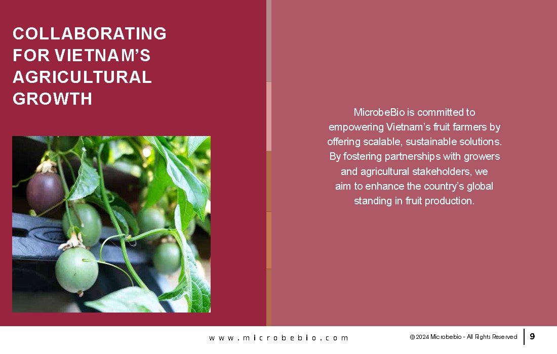 Enhancing Vietnam Fruit Tree Cultivation with Microbial Solutions_Page_09