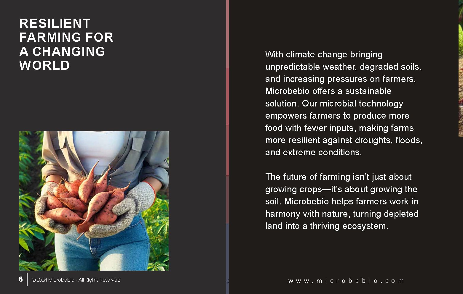 Microbes Will Feed the World How Microbebio Helps Farmers Grow Healthy Soil for Better Crops_Page_6
