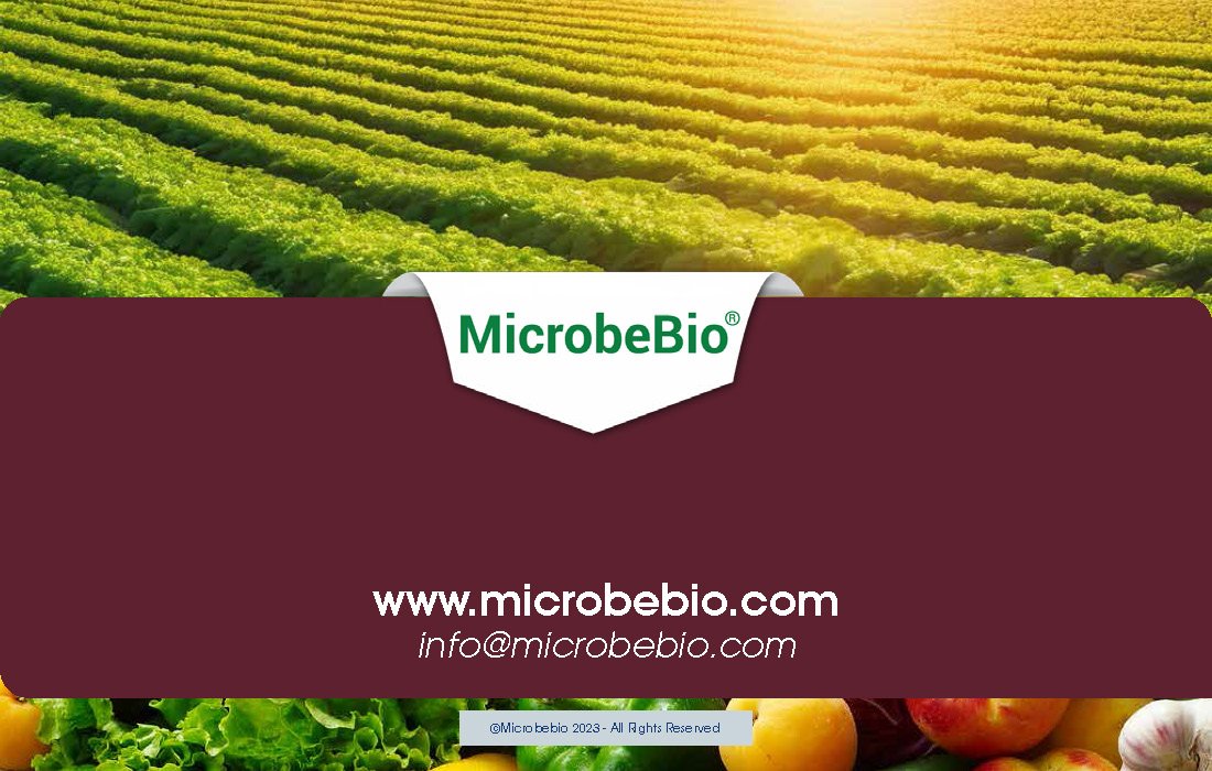 Pioneering the Future of Fertilizer with Microbial Technologys_Page_12