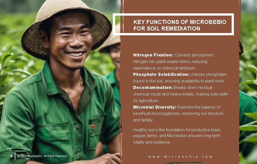 Rejuvenating Vietnam and Southeast Asia Soil and Black Pepper Farms with Microbebio_Page_04