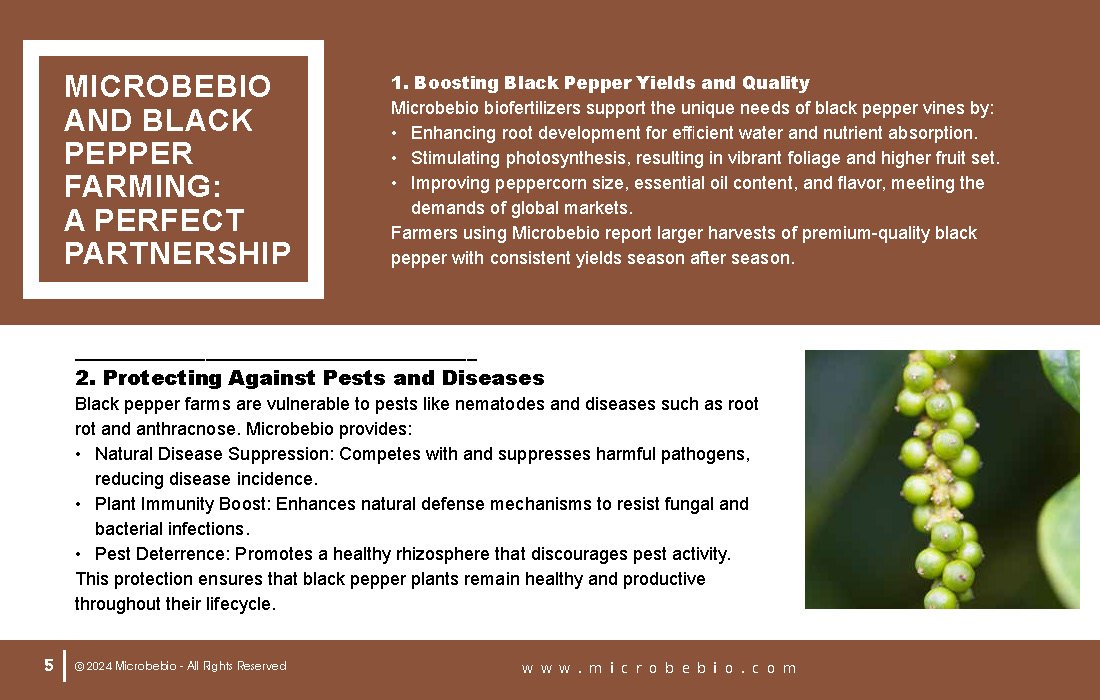 Rejuvenating Vietnam and Southeast Asia Soil and Black Pepper Farms with Microbebio_Page_05