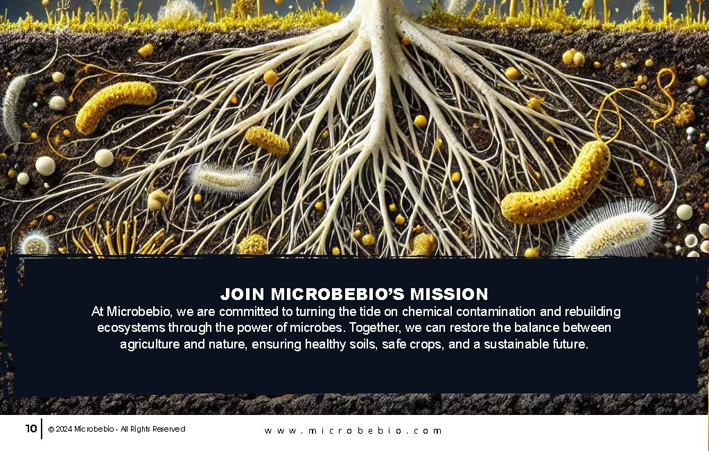 Restoring Contaminated Lands with Advanced Microbial Technology_Page_10