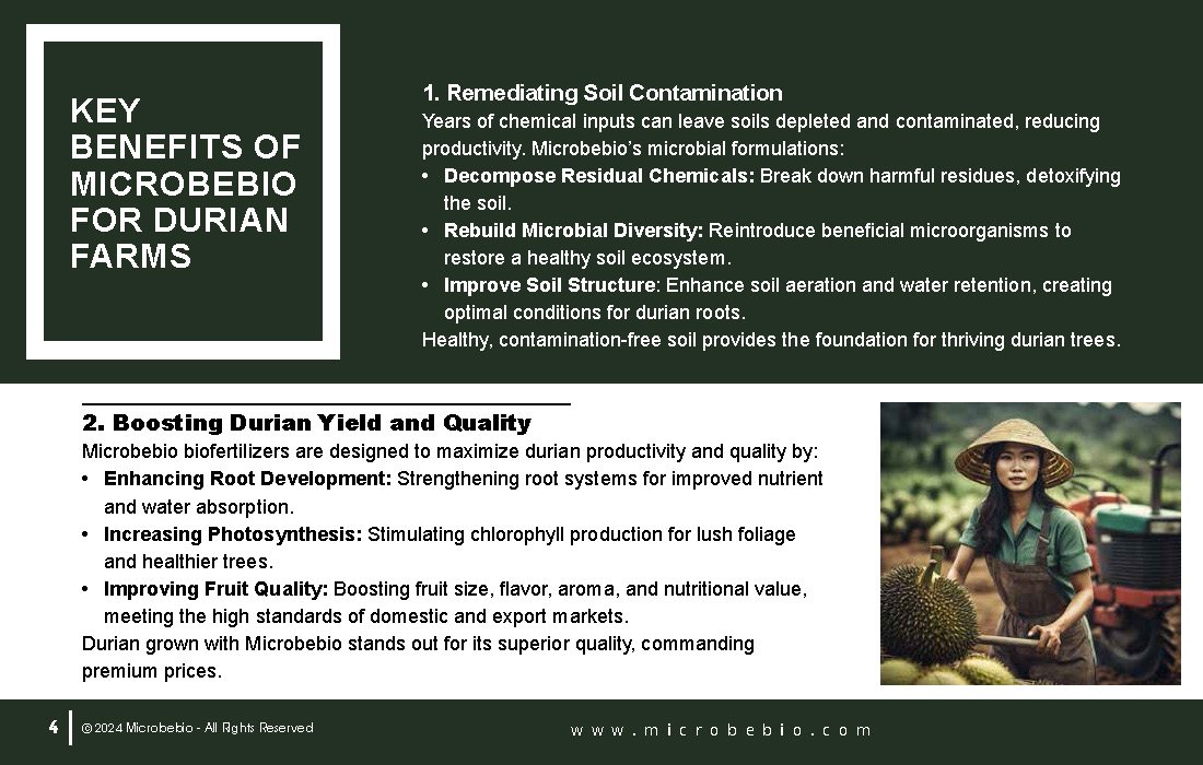 Revitalizing Durian Farms in Vietnam and Southeast Asia with Microbebio_Page_4