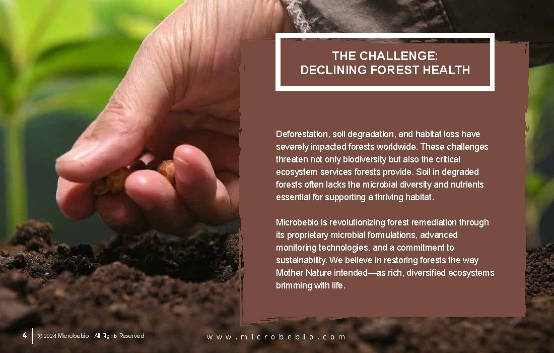 Revitalizing Forests and Enhancing Carbon Sequestration Naturally_Page_04