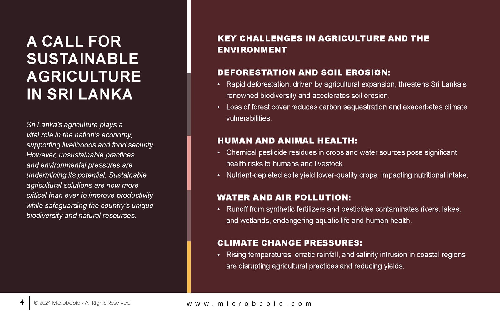 Revolutionize Agriculture in Sri Lanka with Microbebio_Page_04