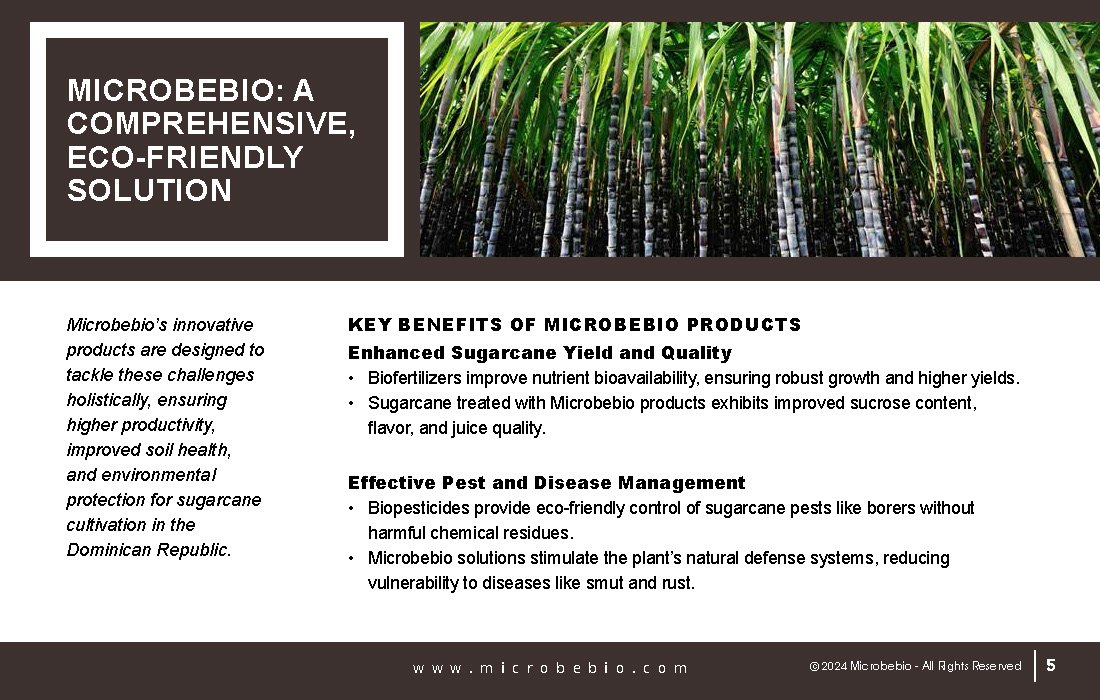 Revolutionize Sugarcane Farming in the Dominican Republic with Microbebio_Page_05