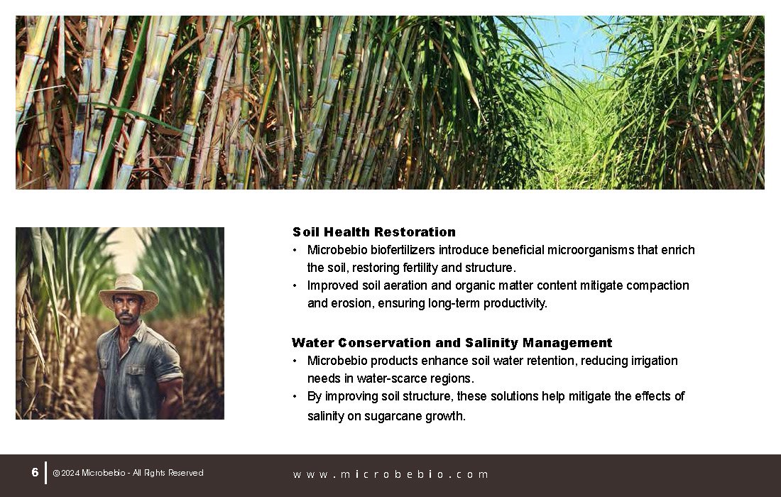 Revolutionize Sugarcane Farming in the Dominican Republic with Microbebio_Page_06