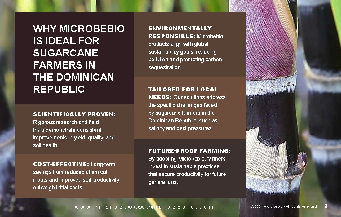 Revolutionize Sugarcane Farming in the Dominican Republic with Microbebio_Page_09