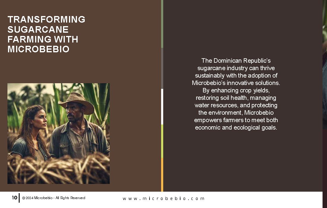 Revolutionize Sugarcane Farming in the Dominican Republic with Microbebio_Page_10
