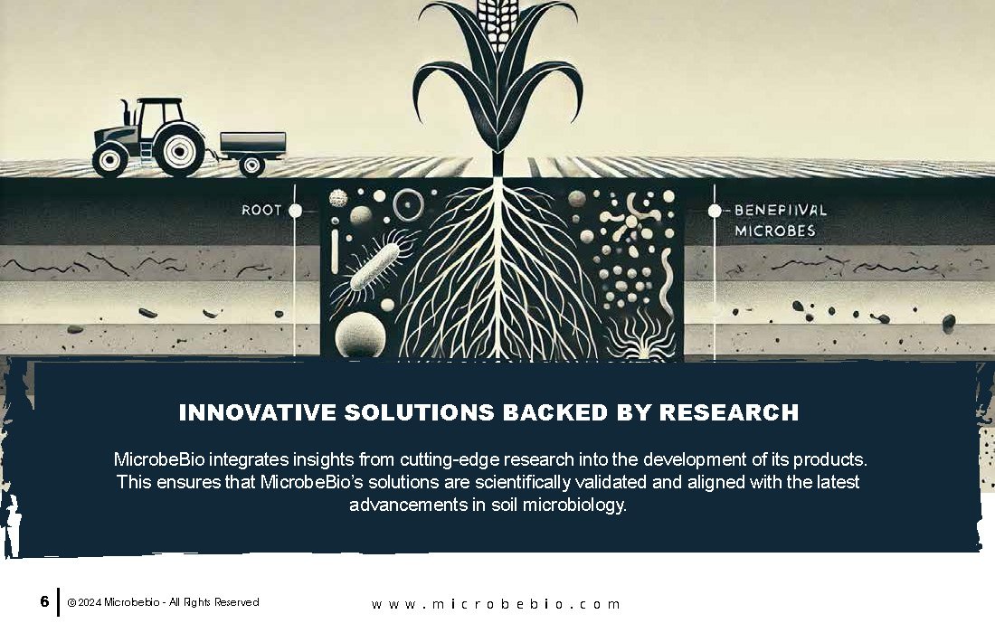 Revolutionizing Agriculture Through Microbial Advancements_Page_06