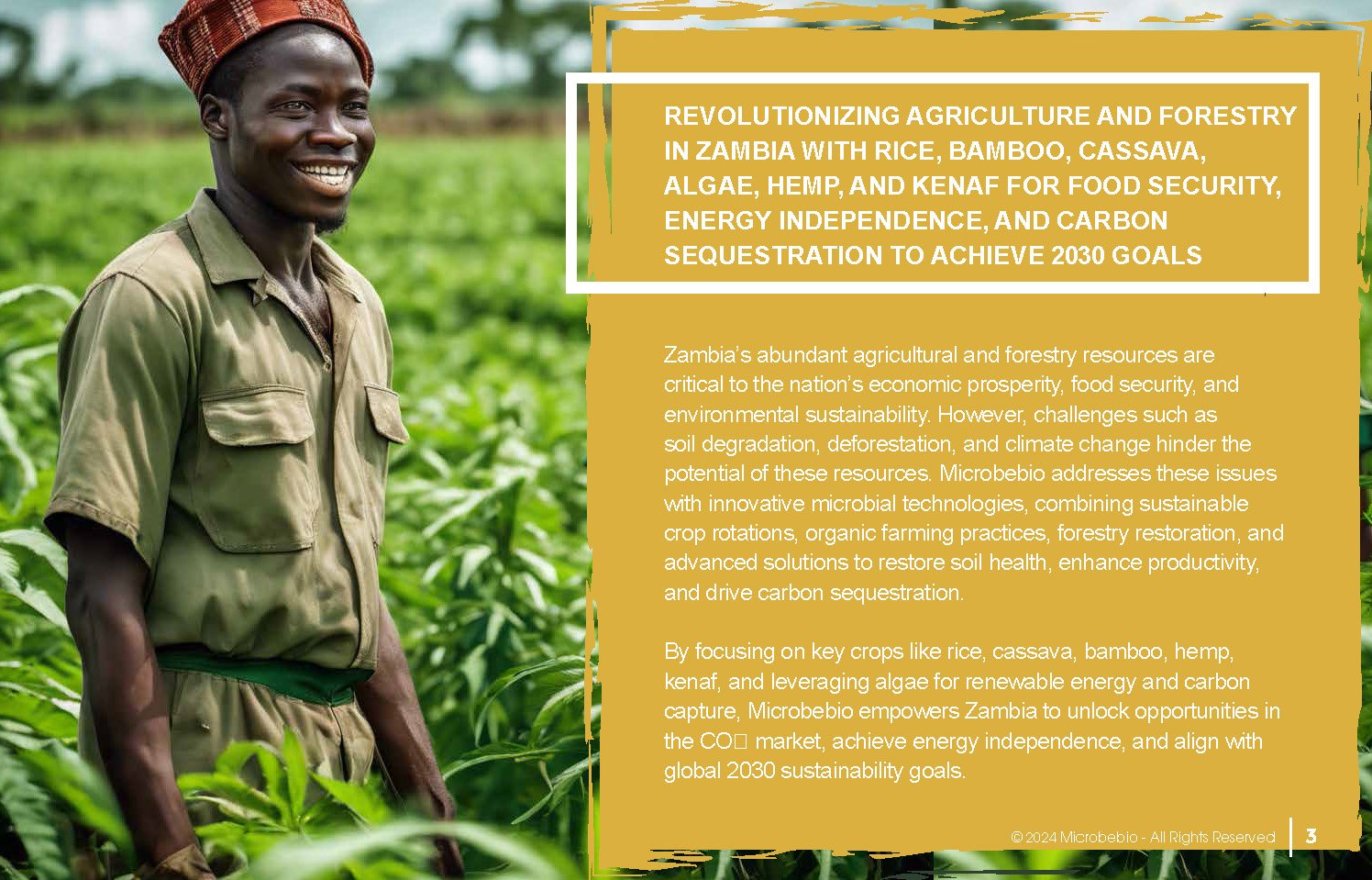 Revolutionizing Agriculture and Forestry in Zambia with Rice_Page_03