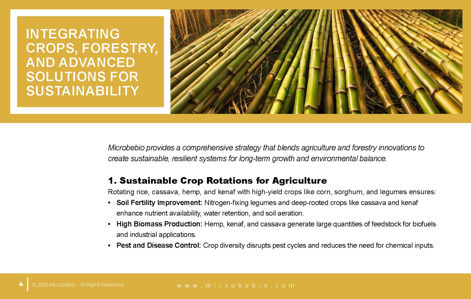 Revolutionizing Agriculture and Forestry in Zambia with Rice_Page_04