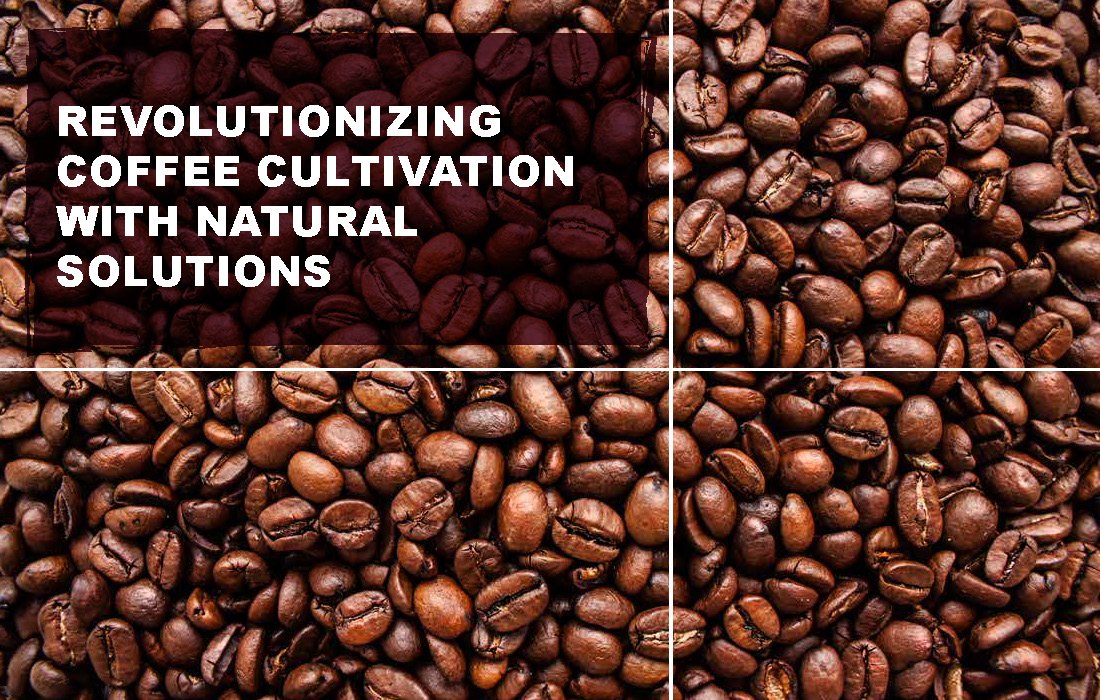 Revolutionizing Coffee Cultivation with Natural Solutions_Page_02