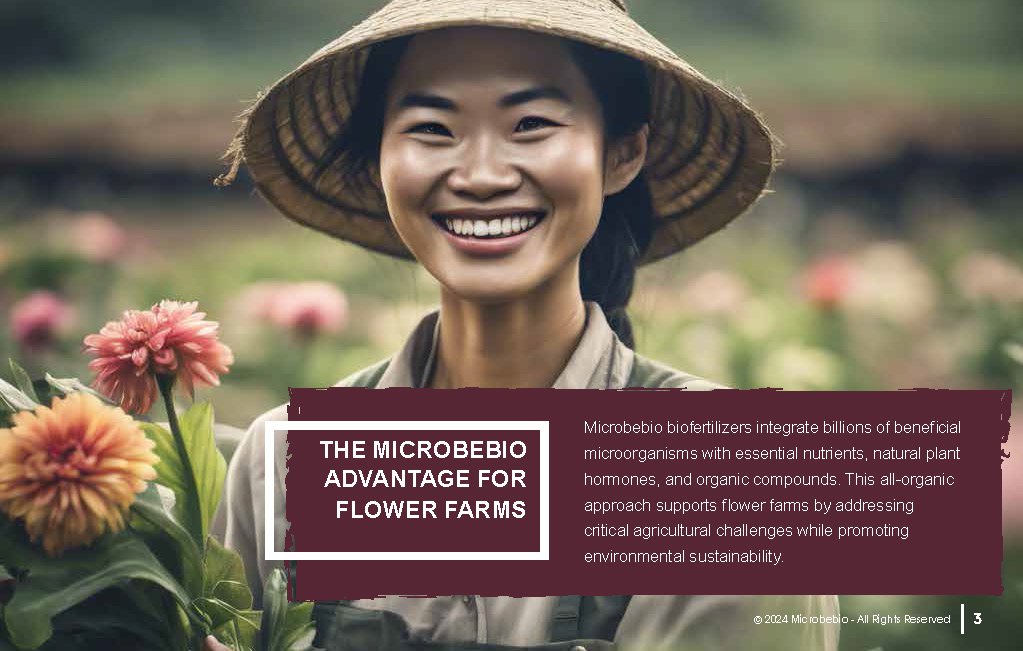 Revolutionizing Flower Farming in Vietnam and Southeast Asia with Microbebio_Page_3