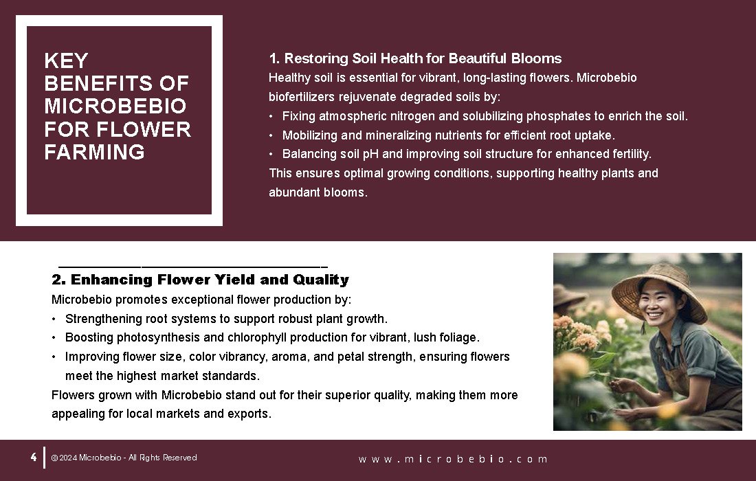 Revolutionizing Flower Farming in Vietnam and Southeast Asia with Microbebio_Page_4
