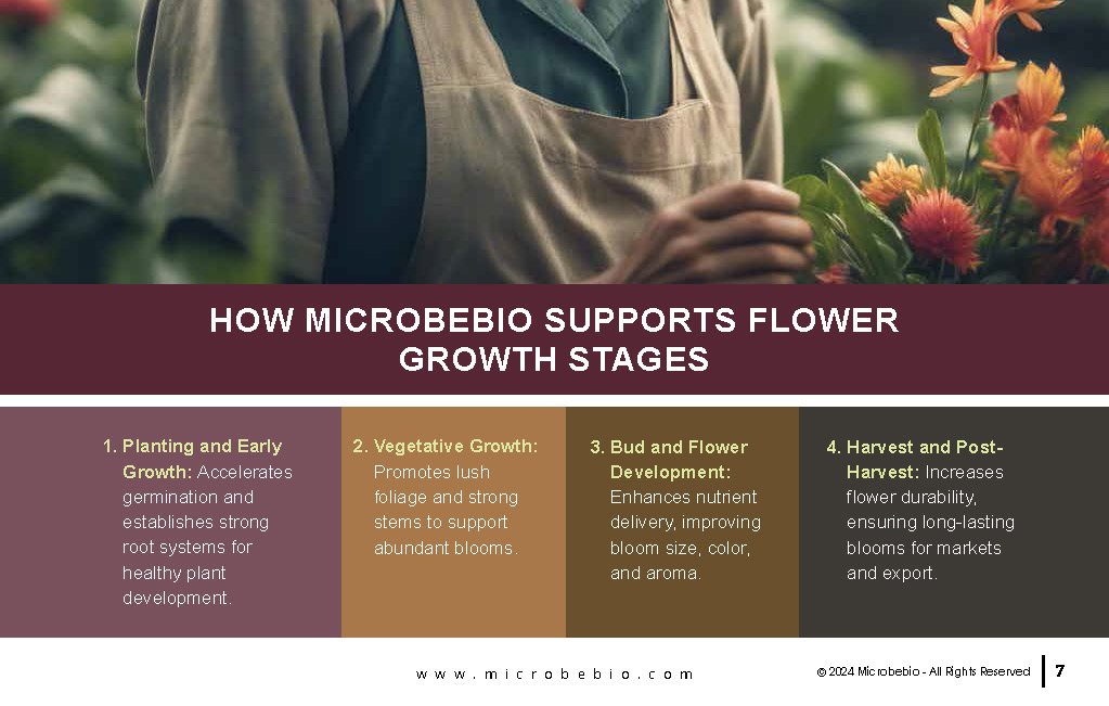Revolutionizing Flower Farming in Vietnam and Southeast Asia with Microbebio_Page_7