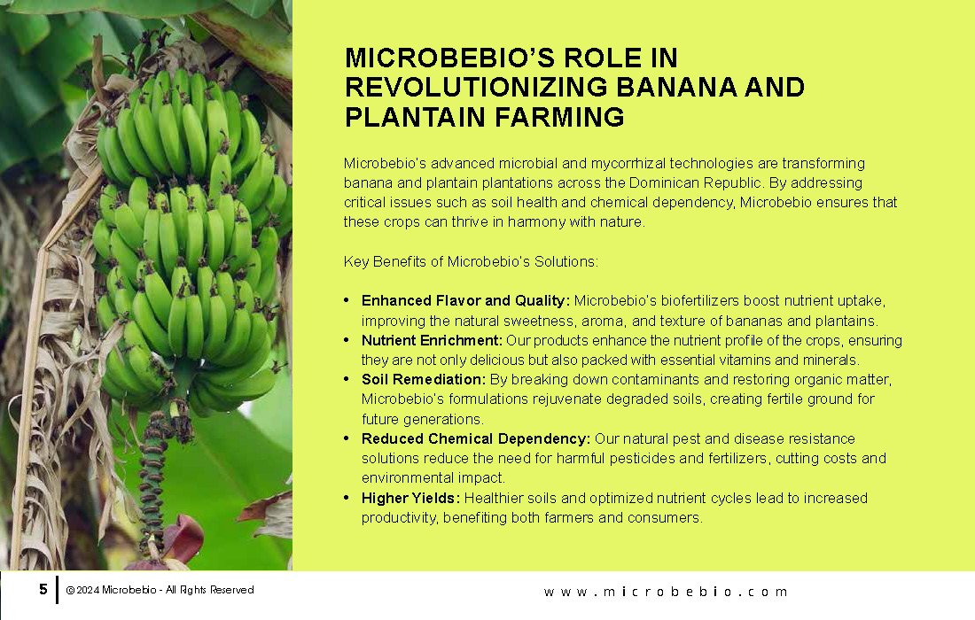 Transforming Dominican Banana and Plantain Plantations_Page_05