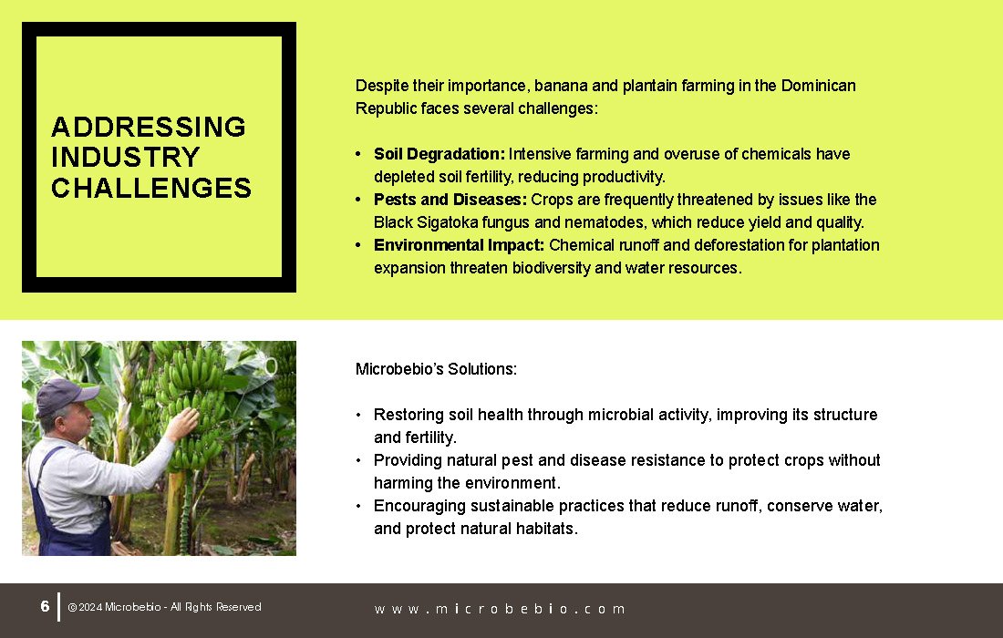 Transforming Dominican Banana and Plantain Plantations_Page_06