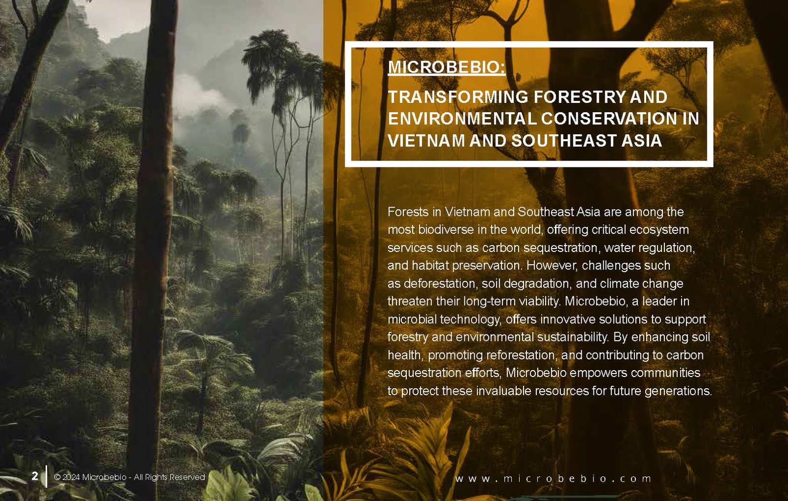 Transforming Forestry and Environmental Conservation in Vietnam and Southeast Asia_Page_2