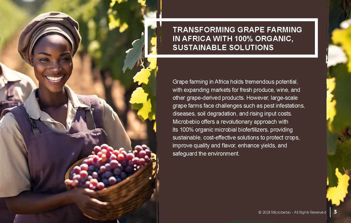 Transforming Grape Farming in Africa with 100 Organic, Sustainable Solutions - 12 16 24_Page_03