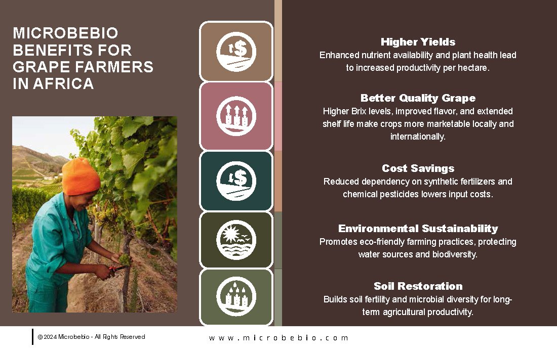Transforming Grape Farming in Africa with 100 Organic, Sustainable Solutions - 12 16 24_Page_08