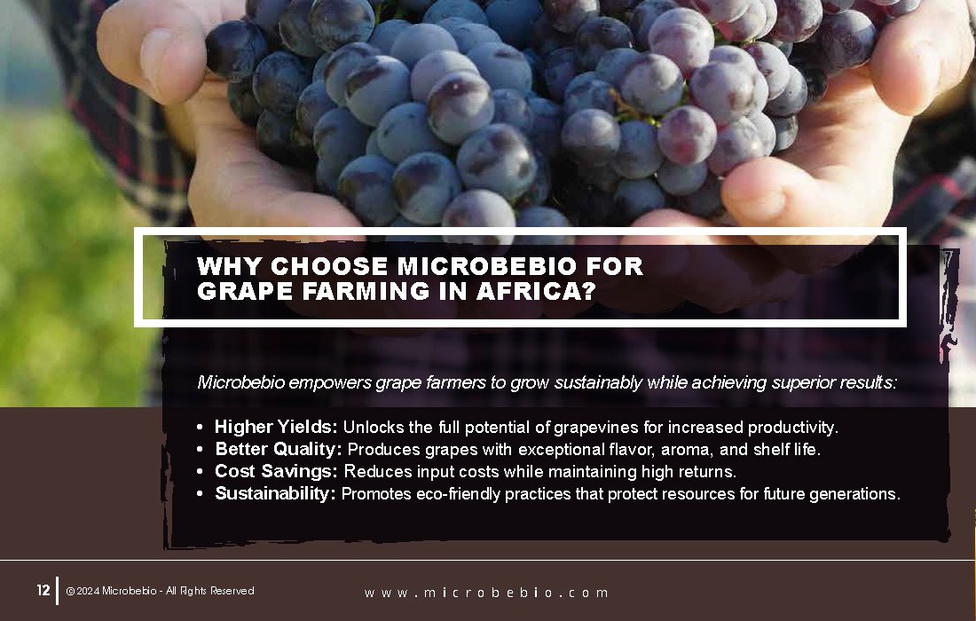 Transforming Grape Farming in Africa with 100 Organic, Sustainable Solutions - 12 16 24_Page_12