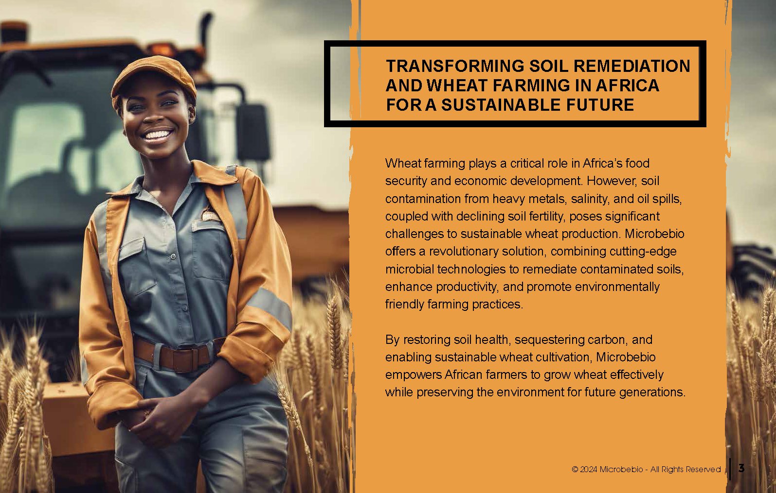 Transforming Soil Remediation and Wheat Farming in Africa for a Sustainable Future_Page_03