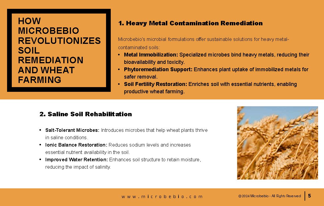 Transforming Soil Remediation and Wheat Farming in Africa for a Sustainable Future_Page_05