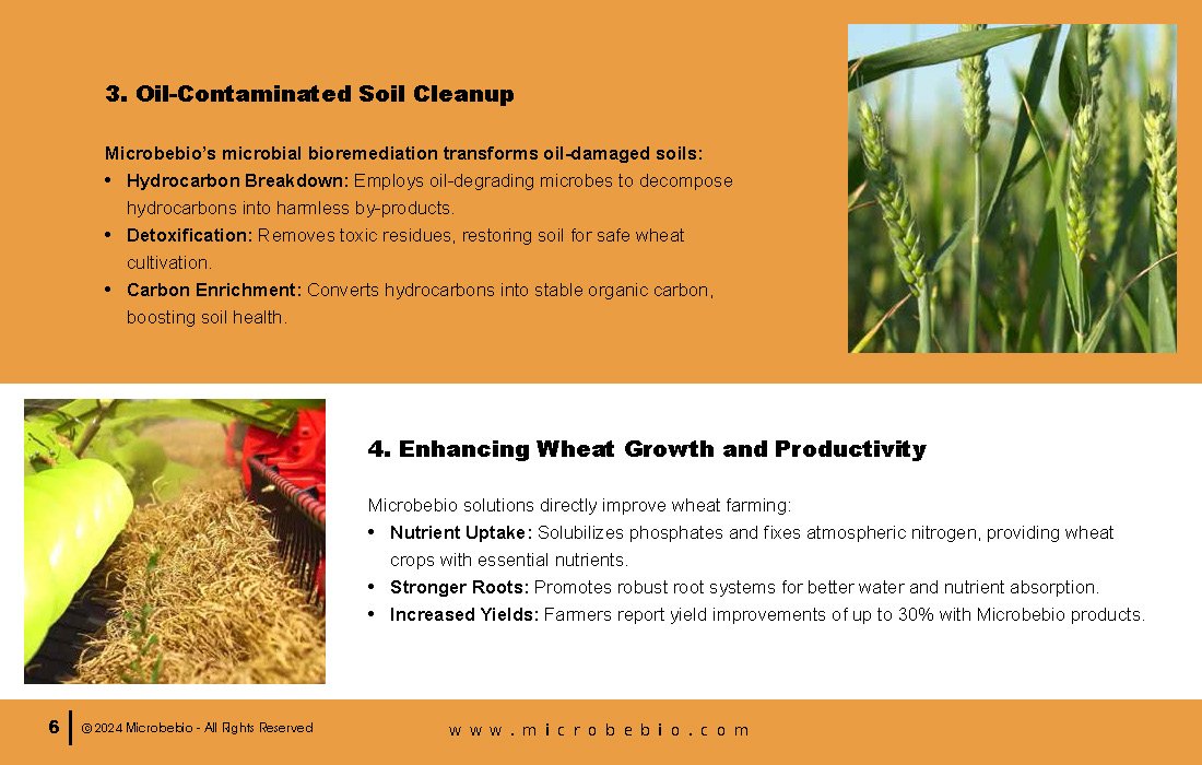 Transforming Soil Remediation and Wheat Farming in Africa for a Sustainable Future_Page_06