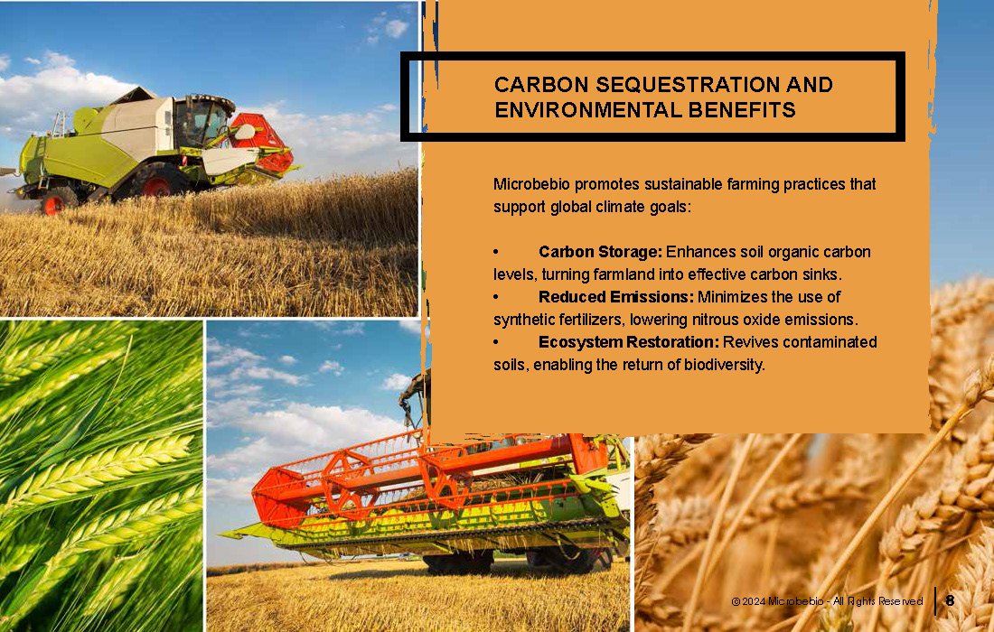Transforming Soil Remediation and Wheat Farming in Africa for a Sustainable Future_Page_08