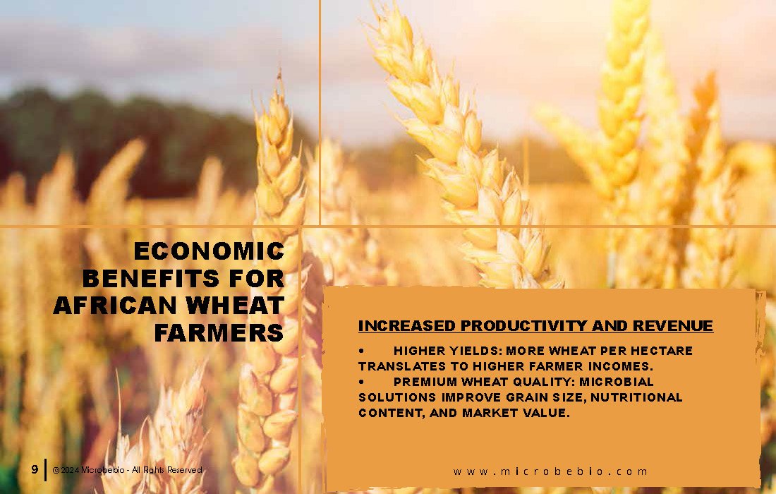 Transforming Soil Remediation and Wheat Farming in Africa for a Sustainable Future_Page_09