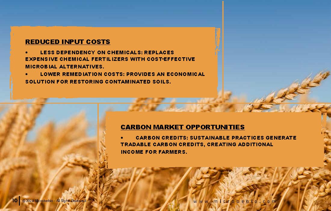 Transforming Soil Remediation and Wheat Farming in Africa for a Sustainable Future_Page_10