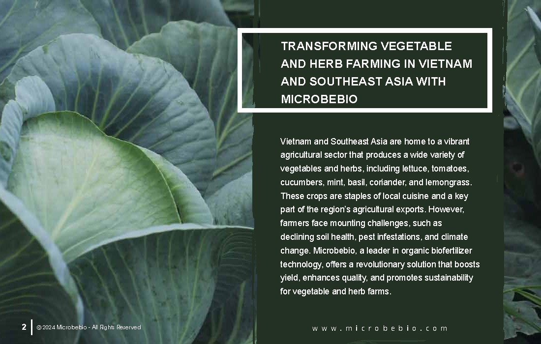 Transforming Vegetable and Herb Farming in Vietnam and Southeast Asia with Microbebio_Page_2