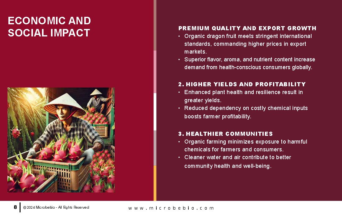 Transforming Vietnam Dragon Fruit Industry with 100 Organic Solutions_Page_08