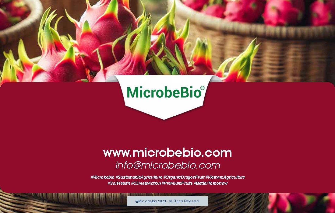 Transforming Vietnam Dragon Fruit Industry with 100 Organic Solutions_Page_11