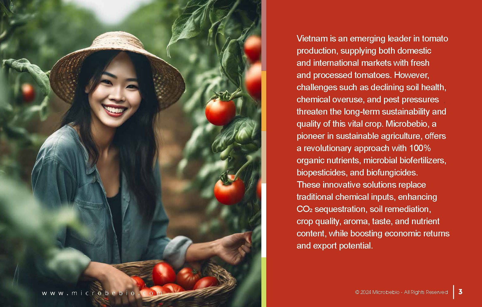 Transforming Vietnam Tomato Industry with 100 Organic Solutions _Page_03