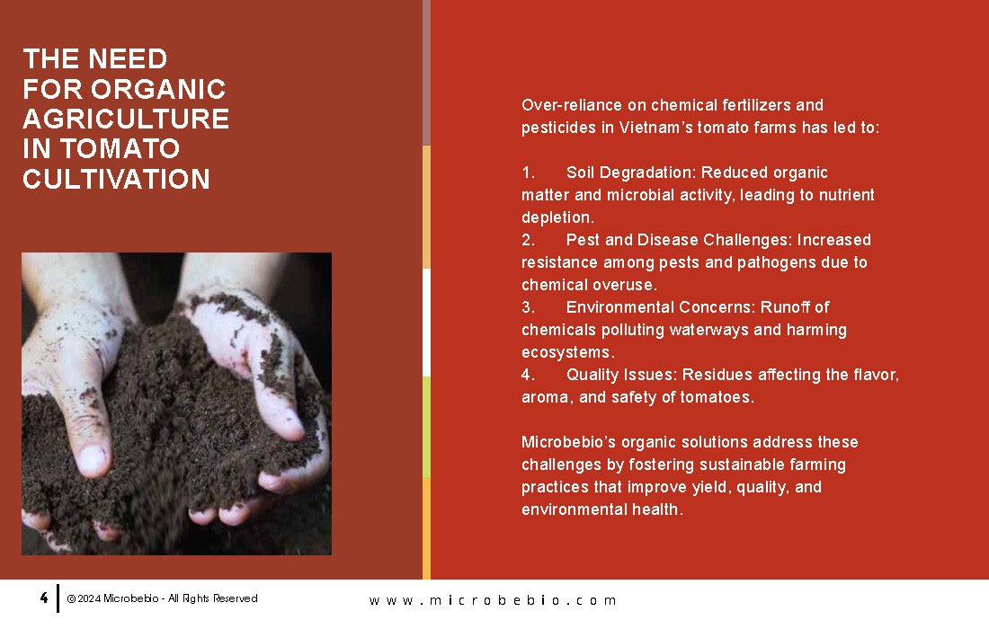 Transforming Vietnam Tomato Industry with 100 Organic Solutions _Page_04