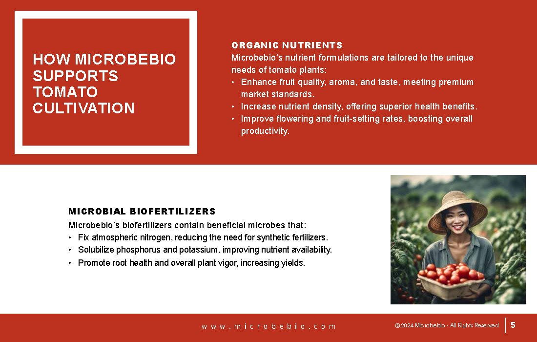 Transforming Vietnam Tomato Industry with 100 Organic Solutions _Page_05