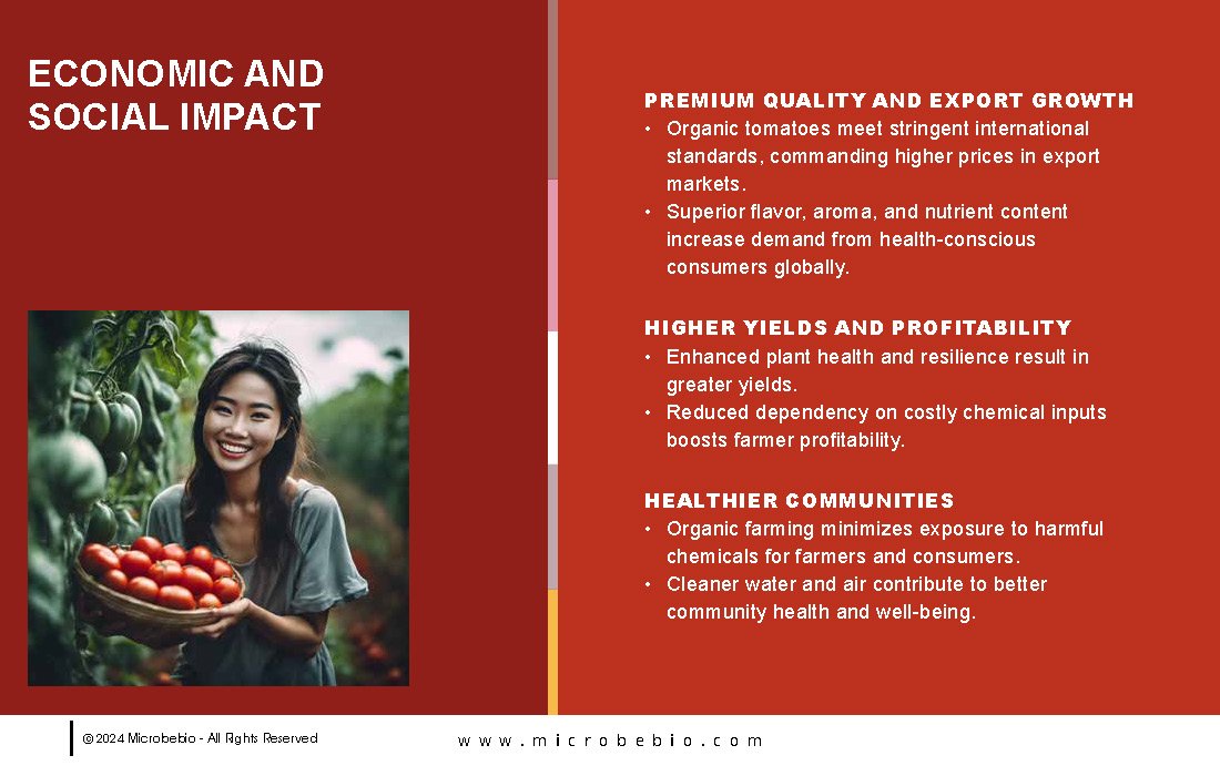 Transforming Vietnam Tomato Industry with 100 Organic Solutions _Page_08