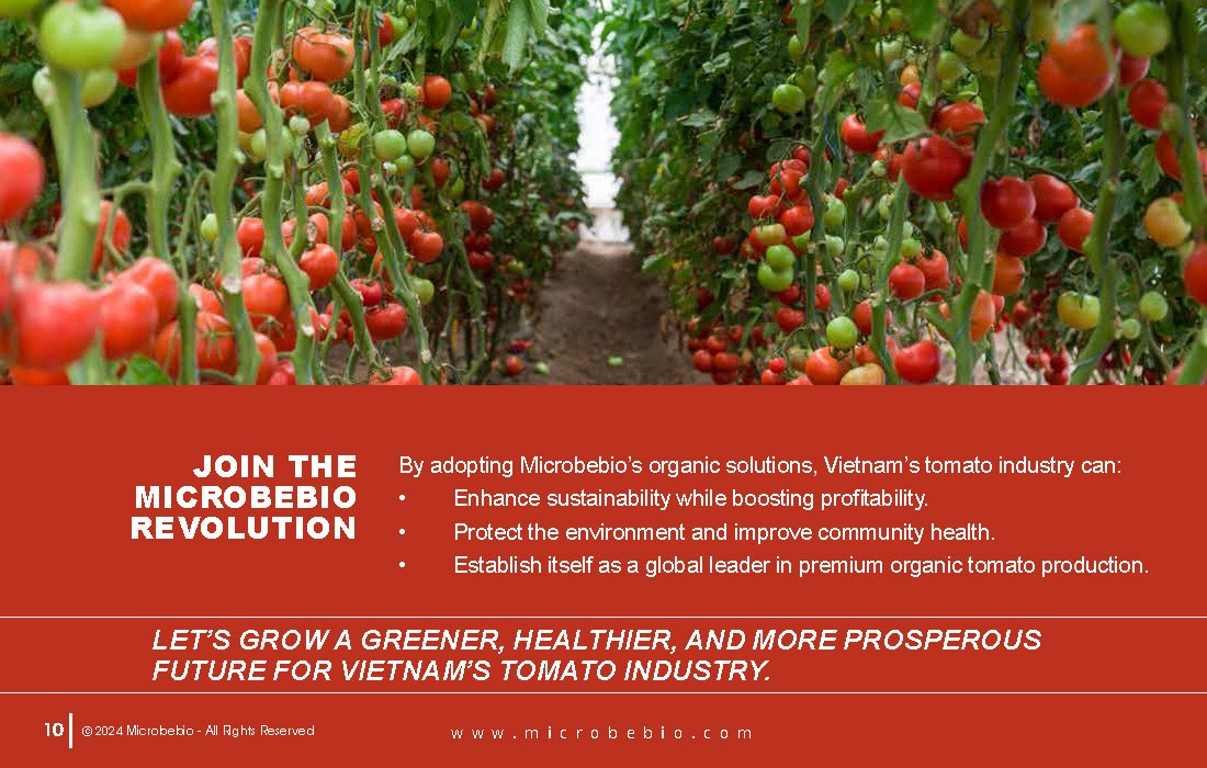 Transforming Vietnam Tomato Industry with 100 Organic Solutions _Page_10