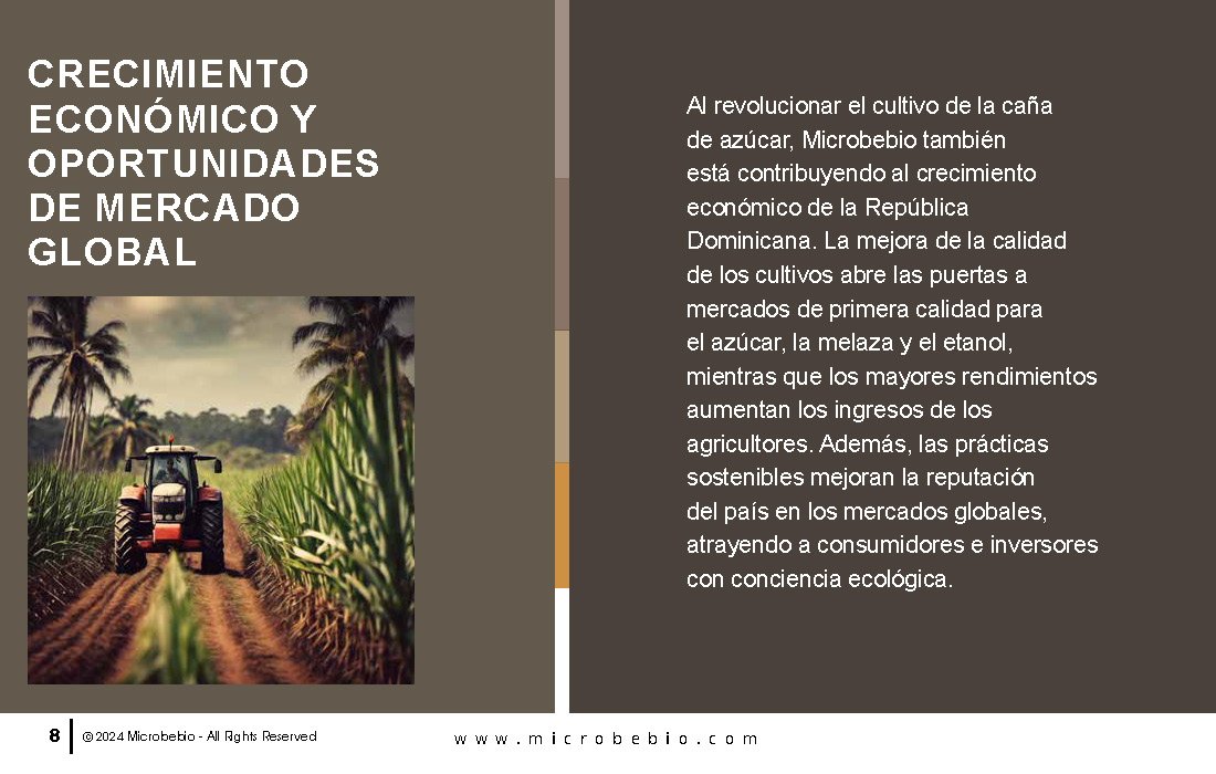 Transforming the Future of Dominican Sugarcane_Page_08