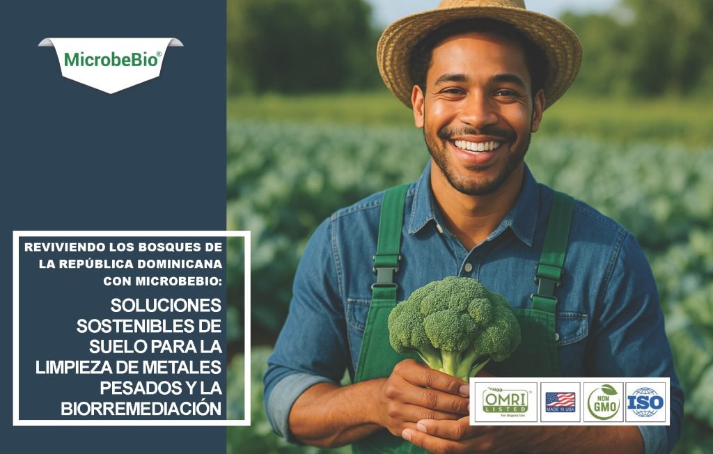 Reviviendo los bosques de la República Dominicana con MicrobeBio: Soluciones sostenibles de suelo para la limpieza de metales pesados y la biorremediación