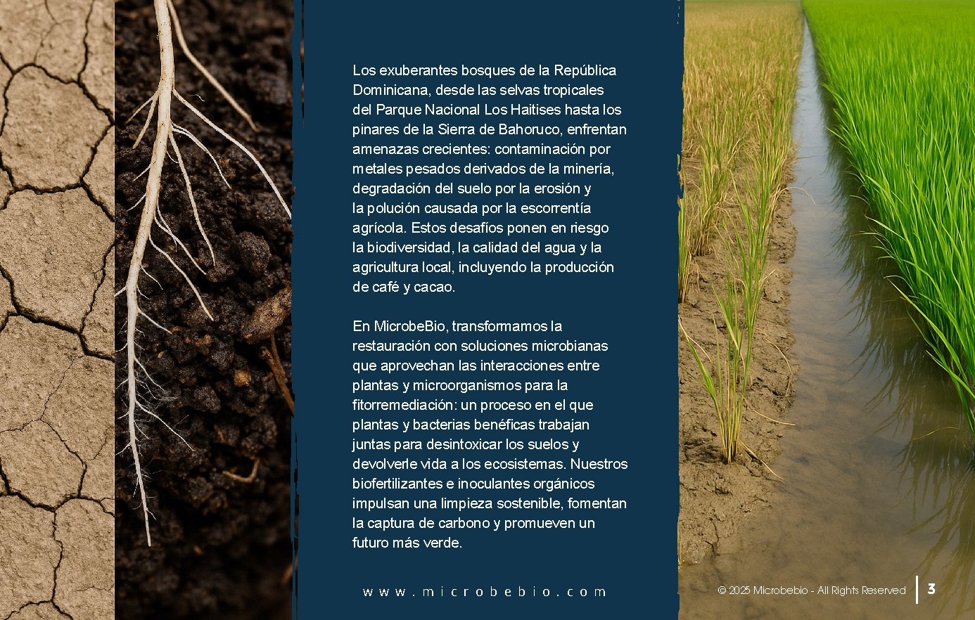 Reviving the Dominican Republic- Forests with MicrobeBio-Sustainable Soil Solutions for Heavy Metal Cleanup and Bioremediation_Page_03