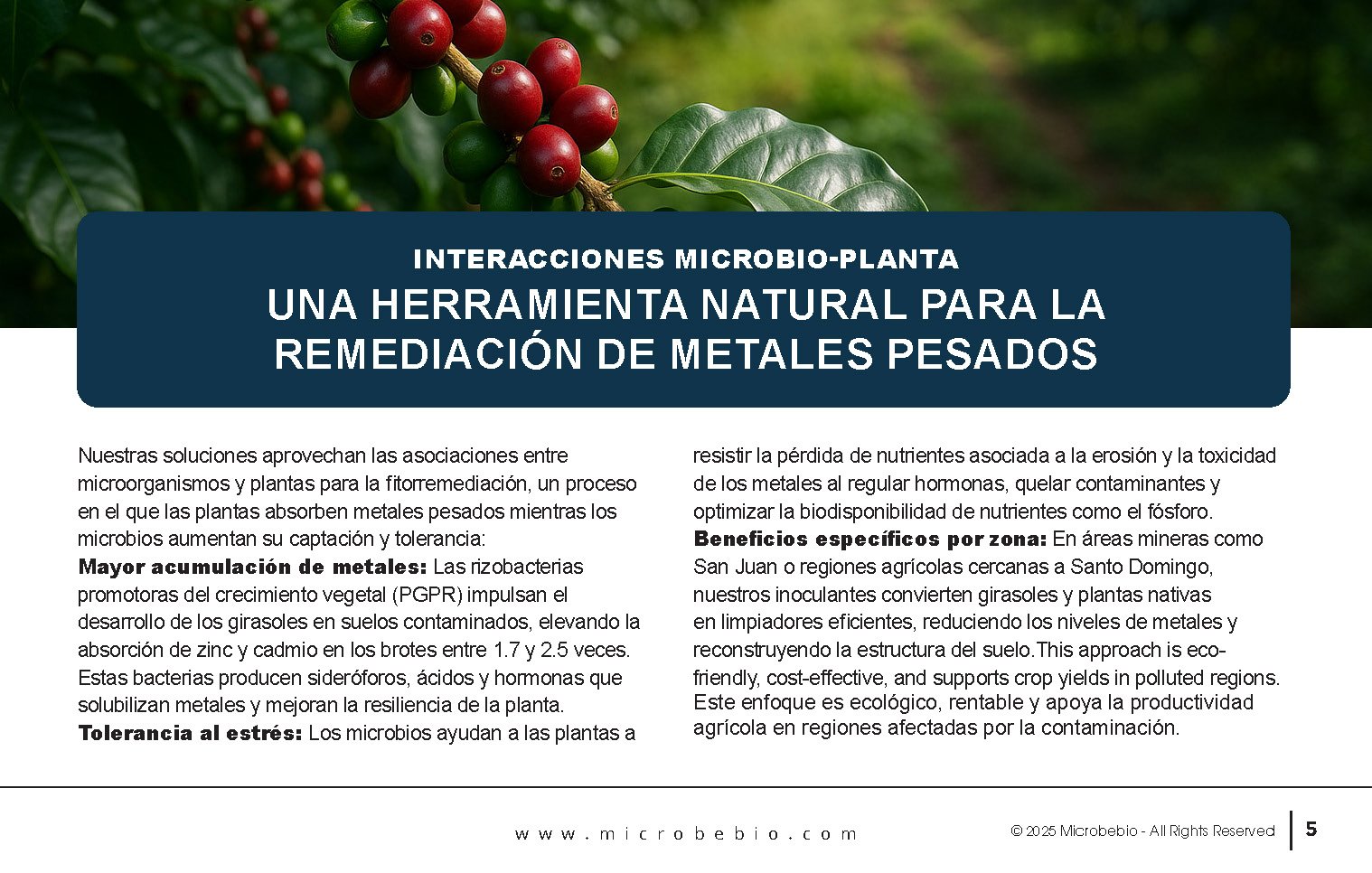 Reviving the Dominican Republic- Forests with MicrobeBio-Sustainable Soil Solutions for Heavy Metal Cleanup and Bioremediation_Page_05