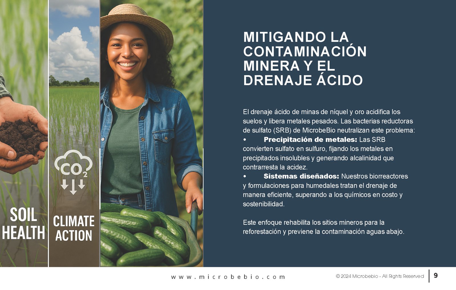 Reviving the Dominican Republic- Forests with MicrobeBio-Sustainable Soil Solutions for Heavy Metal Cleanup and Bioremediation_Page_09