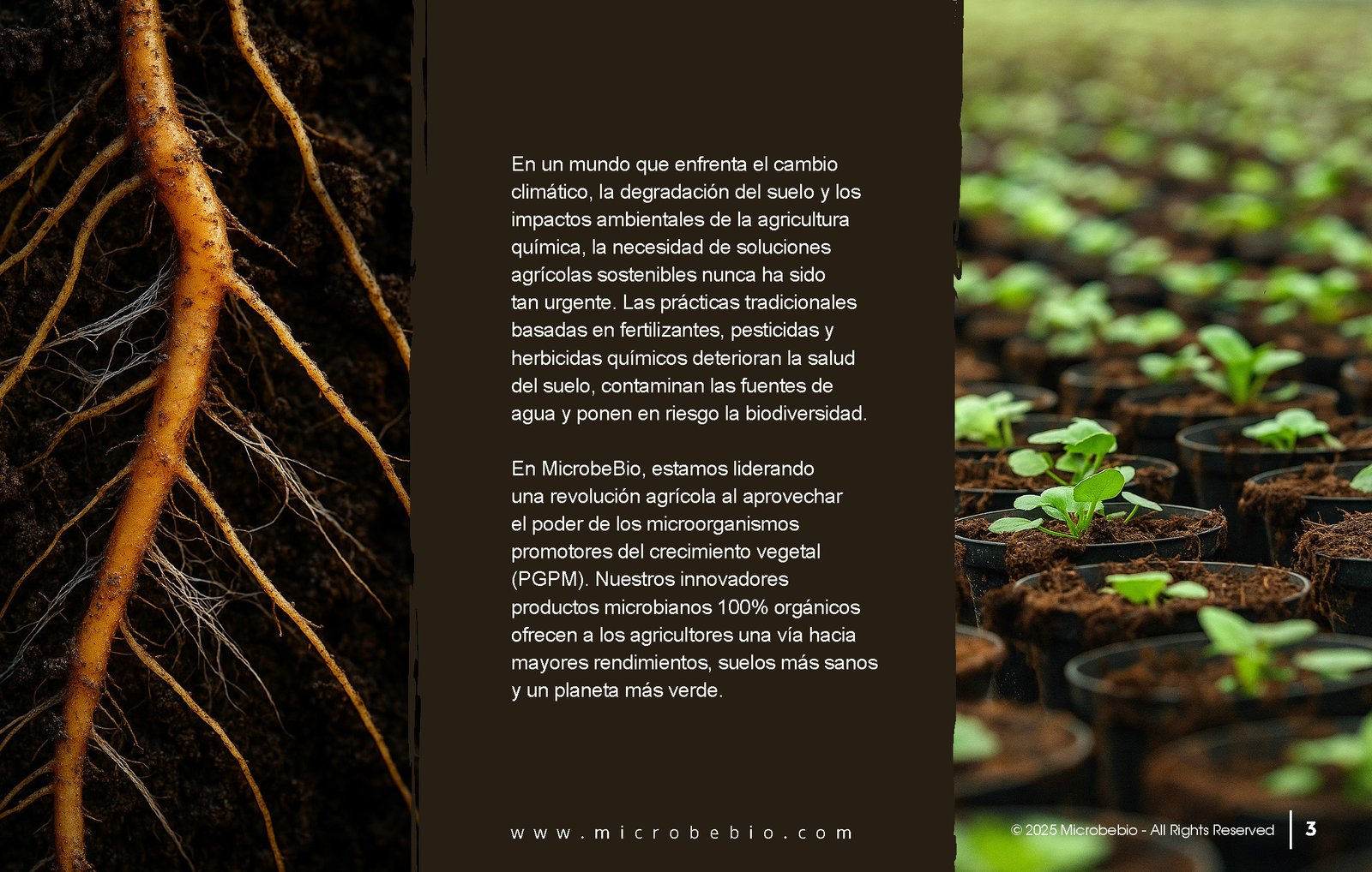Unlocking the Future of Farming-How MicrobeBio-Microbial Solutions Drive Sustainable Agriculture_Page_03