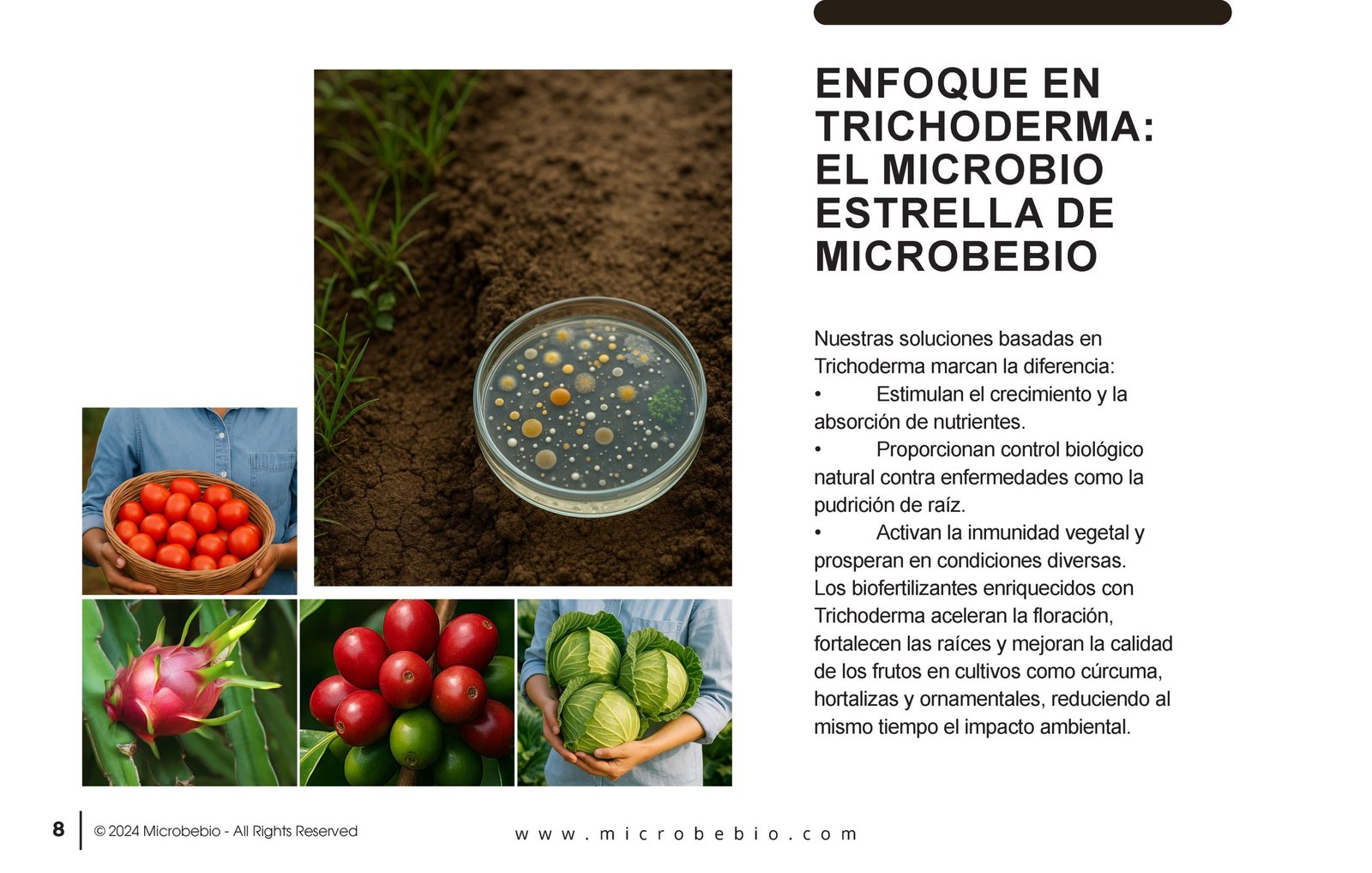 Unlocking the Future of Farming-How MicrobeBio-Microbial Solutions Drive Sustainable Agriculture_Page_08