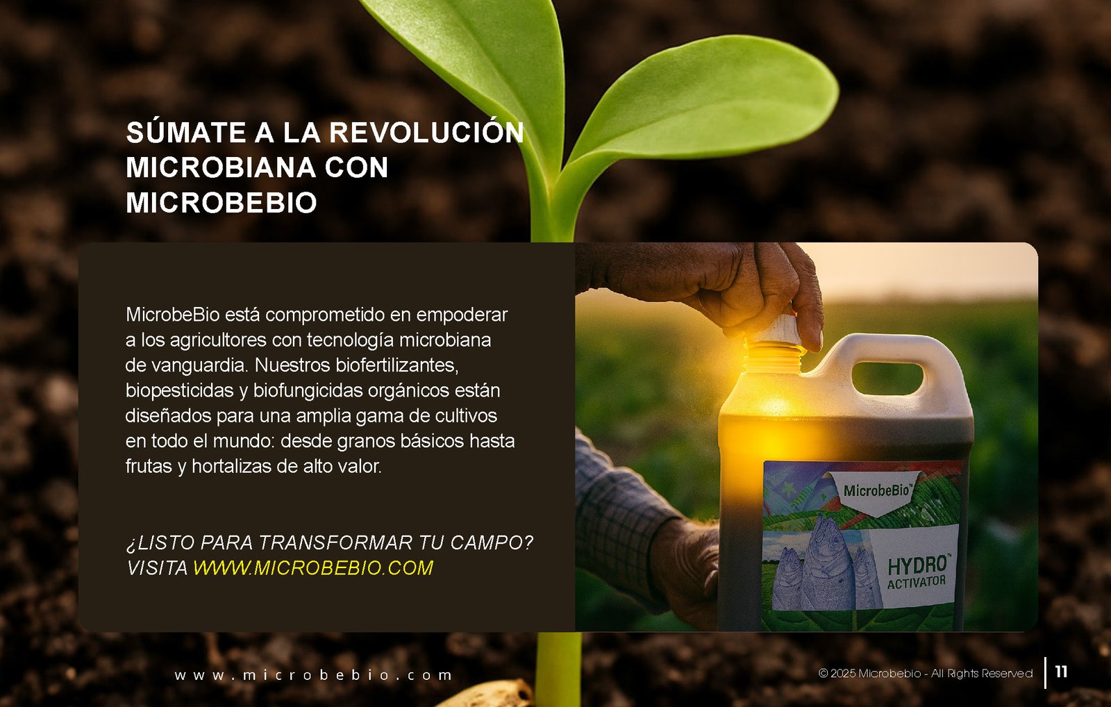 Unlocking the Future of Farming-How MicrobeBio-Microbial Solutions Drive Sustainable Agriculture_Page_11